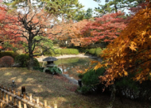 東京都庭園美術館日本庭園