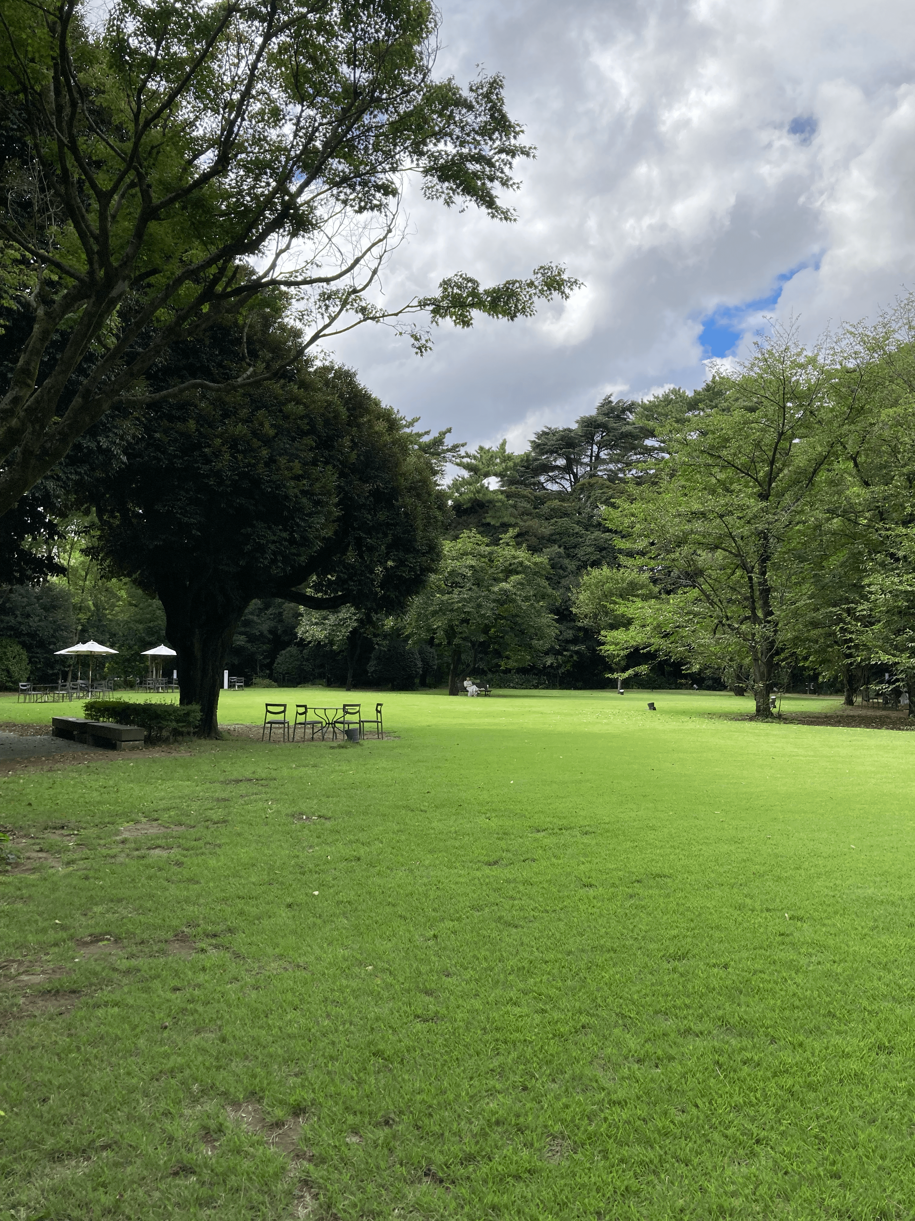 東京都庭園美術館庭園でピクニック３